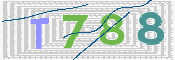 CAPTCHA 驗證圖片