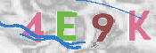 CAPTCHA 驗證圖片