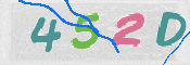 CAPTCHA 驗證圖片