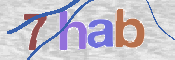 CAPTCHA 驗證圖片