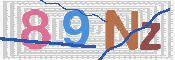 CAPTCHA 驗證圖片