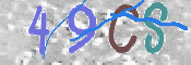 CAPTCHA 驗證圖片