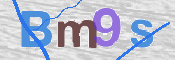 CAPTCHA 驗證圖片