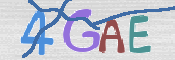 CAPTCHA 驗證圖片