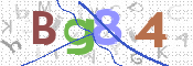CAPTCHA 驗證圖片