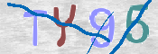 CAPTCHA 驗證圖片