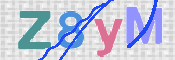 CAPTCHA 驗證圖片