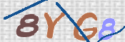 CAPTCHA 驗證圖片