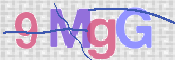 CAPTCHA 驗證圖片