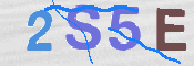 CAPTCHA 驗證圖片