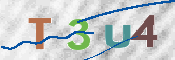 CAPTCHA 驗證圖片