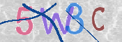 CAPTCHA 驗證圖片