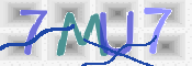 CAPTCHA 驗證圖片