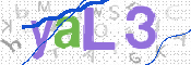 CAPTCHA 驗證圖片