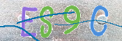 CAPTCHA 驗證圖片