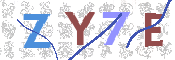 CAPTCHA 驗證圖片