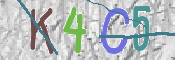 CAPTCHA 驗證圖片