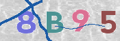 CAPTCHA 驗證圖片