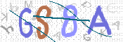CAPTCHA 驗證圖片