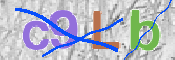 CAPTCHA 驗證圖片