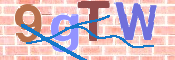 CAPTCHA 驗證圖片