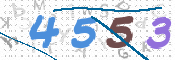 CAPTCHA 驗證圖片