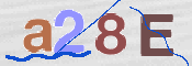CAPTCHA 驗證圖片