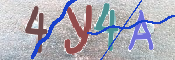 CAPTCHA 驗證圖片