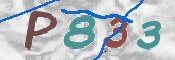 CAPTCHA 驗證圖片