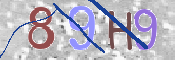 CAPTCHA 驗證圖片