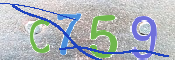 CAPTCHA 驗證圖片