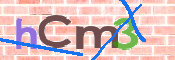 CAPTCHA 驗證圖片