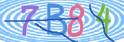 CAPTCHA 驗證圖片
