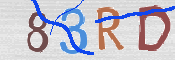 CAPTCHA 驗證圖片
