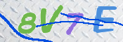 CAPTCHA 驗證圖片