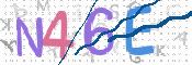 CAPTCHA 驗證圖片