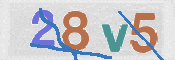 CAPTCHA 驗證圖片