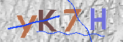 CAPTCHA 驗證圖片