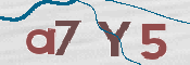 CAPTCHA 驗證圖片