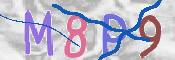CAPTCHA 驗證圖片