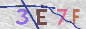 CAPTCHA 驗證圖片