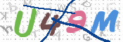 CAPTCHA 驗證圖片