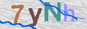 CAPTCHA 驗證圖片