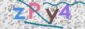 CAPTCHA 驗證圖片