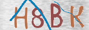CAPTCHA 驗證圖片
