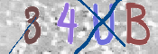 CAPTCHA 驗證圖片