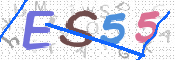 CAPTCHA 驗證圖片