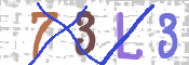 CAPTCHA 驗證圖片