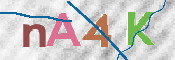CAPTCHA 驗證圖片