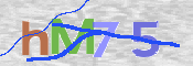 CAPTCHA 驗證圖片